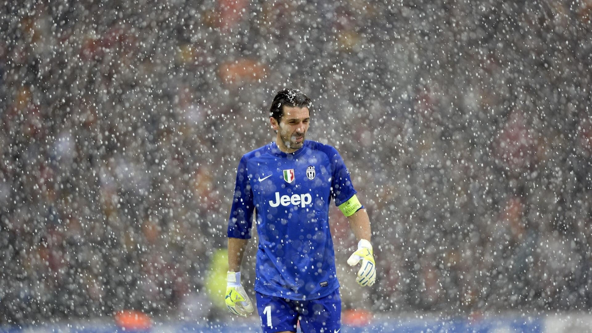 球员赛季状态保持稳定，当前赛季指定球员包